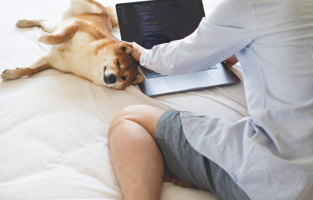 Person working on a laptop computer while petting a dog.